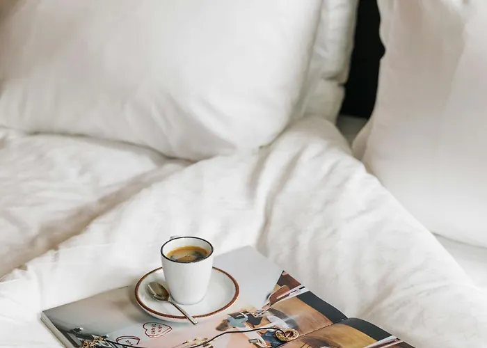 The Social Hub 圣塞瓦斯蒂安