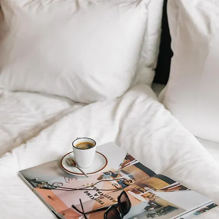 The Social Hub 3* 산세바스티안